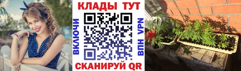 Купить закладку Семилуки Альфа ПВП  Меф мяу мяу  ГАШ  Марихуана 