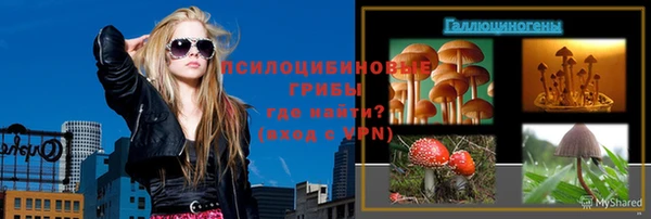 скорость Богданович