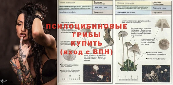 скорость Богданович
