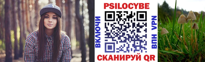 гидра вход  как найти наркотики  Семилуки  Галлюциногенные грибы Psilocybe 